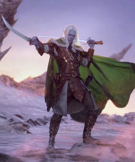 Legend Of Drizzt, Drow Male, Drizzt Do Urden, Bedroom Anime, Icewind Dale, Dnd Races, D&d Dungeons And Dragons, Dark Elf, Traditional Games