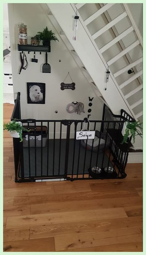 Dog Corner In Bedroom Ideas, Pet Room Decor Ideas, Dog Room In Apartment, Dog Rooms In House Small Spaces, Puppy Corner Ideas Living Room, Dog Section In House, Cat And Dog Room, Puppy Pen Ideas Indoor Small Space, Dog Nessesities