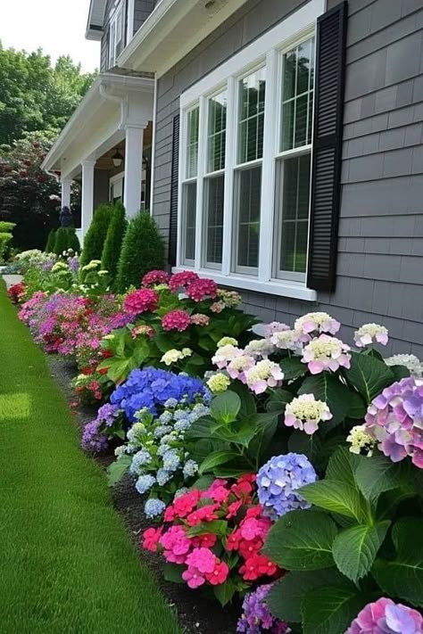 Flower Beds In Front Of House Hydrangea, Flower Bed Designs Layout, Hydrangea Landscaping, Front Flower Beds, Flower Garden Plans, Tattoo Plant, Flower Bed Designs, Small Front Yard Landscaping, Front Garden Landscape