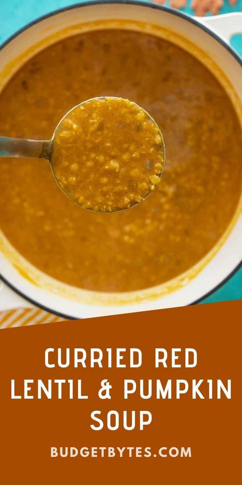 This Curried Red Lentil and Pumpkin Soup is super fast and easy, and will keep you warm from the inside out on chilly fall evenings! Curried Pumpkin Soup Recipe, Red Lentil Curry Soup, Pumpkin Lentil Soup, Red Curry Lentils, Pumpkin Soup Healthy, Red Lentil Recipes, Red Lentil Soup Recipe, Curried Lentil Soup, Lenten Recipes