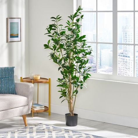 Modest Looks, Tree In Pot, Laurel Tree, Plants Outdoor, Ficus Tree, Faux Leaf, Eucalyptus Tree, Faux Tree, Silk Plants