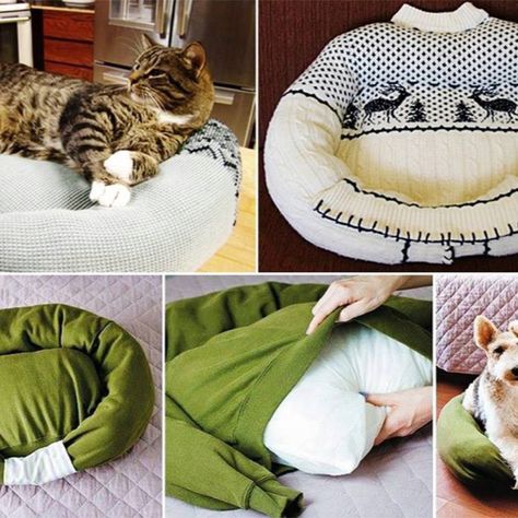 Katt Diy, Diy Cat Bed, Chat Diy, Kat Diy, Diy Pet Bed, Life Jackets, Diy Sweater, Pictures Of Cats, Homemade Cat