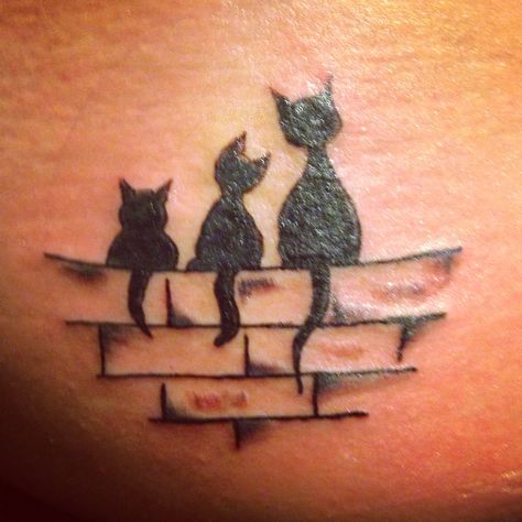 Cattoo three cat tattoo love it! Three Cat Tattoo Design, Three Cat Tattoo, Three Cats Tattoo, Cats Tattoo Ideas, Tiny Cat Tattoo, 3 Black Cats, Trio Tattoos, Egyptian Cat Tattoos, Cat Outline Tattoo