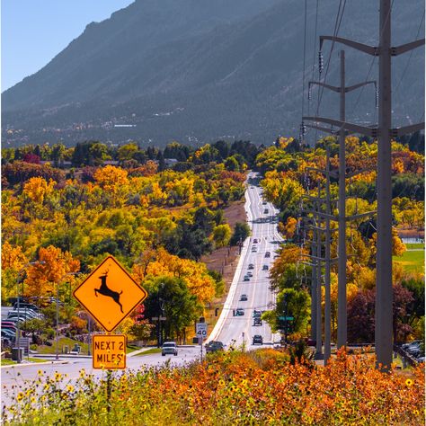 📍 Colorado Springs, Colorado ©️ Nicole Ford Photography #Colorado #colorfulcolorado #ExploreColorado #coloradomountains #coloradoadventures #travelgram #coloradolife #travelphotographer #naturelovers #nature #mountainlovers #mountains #mountainsarecalling #nicoleford #nicolefordphotography #coloradophotographer #coloradophotography #coloradosprings #coloradospringscolorado #coloradospringsco #fall #fallcolors #autumnleaves #autumnvibes Colorado Aesthetic, Montrose Colorado, Loveland Colorado, Mountain High, Colorado Mountains, Rocky Mountain, Colorado Springs, Rocky Mountains, Rocky