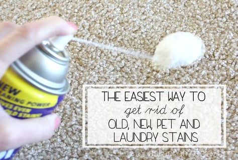 I've got a quick tip for how to get stains out of carpet, even if they're old, new or a pet stain. For pet accidents, it cleans the stain and also removes any unwanted odors! Stains Out Of Carpet, Homemade Toilet Cleaner, Clean Baking Pans, Cleaning Painted Walls, Laundry Stains, Carpet Cleaning Hacks, Glass Cooktop, Deep Cleaning Tips, Toilet Cleaner