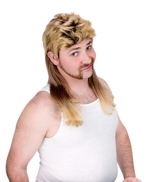 Great for Dazza! Joe Dirt Costume, Afro Look, Mullet Wig, Brown Hair Men, Blonde Tips, Wig Party, Wavy Bobs, Chuck Norris, Favorite Hairstyles