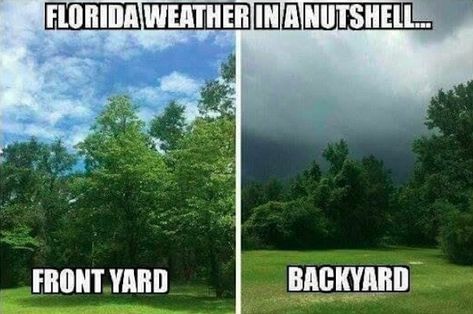 32 Sadly True Florida Memes No One Can Deny - Funny Gallery Southern Jokes, Florida Humor, Florida Quotes, Florida Funny, Milton Florida, Florida Winter, Middle Of The Ocean, Memes No, Florida Weather