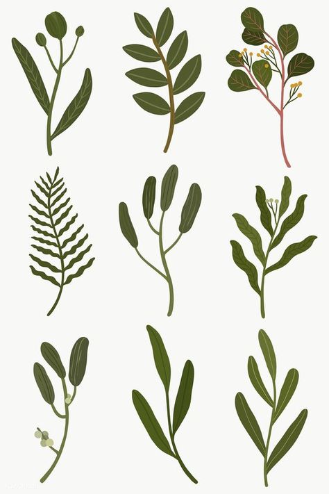 Fern Christmas, Christmas Eucalyptus, Christmas Details, Winter Elements, White Marble Background, Winter Leaves, Peach Background, Botanical Leaves, Eucalyptus Leaf