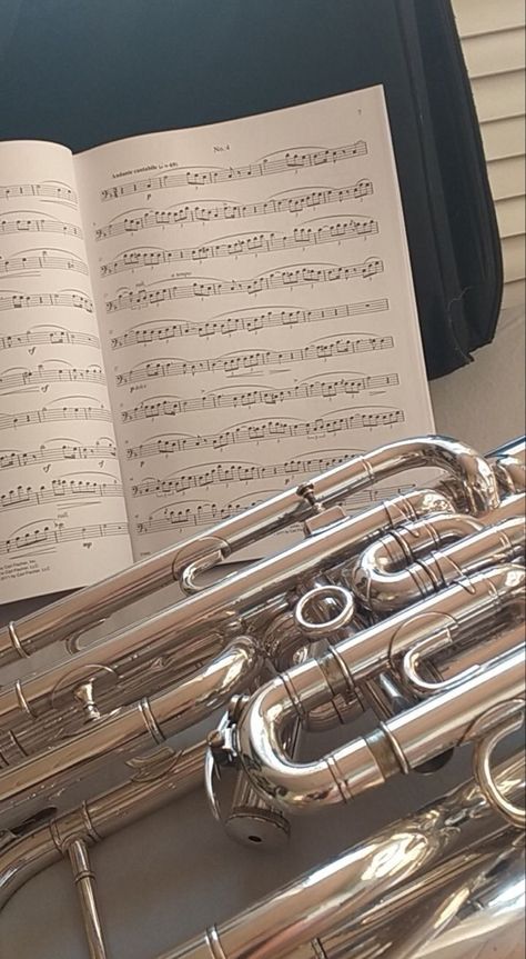 Brass Instruments Aesthetic, Euphonium Instruments, Baritone Aesthetic, Band Instruments Aesthetic, Mellophone Aesthetic, Euphonium Aesthetic, Barn Core, Marching Band Wallpaper, Trumpet Aesthetic