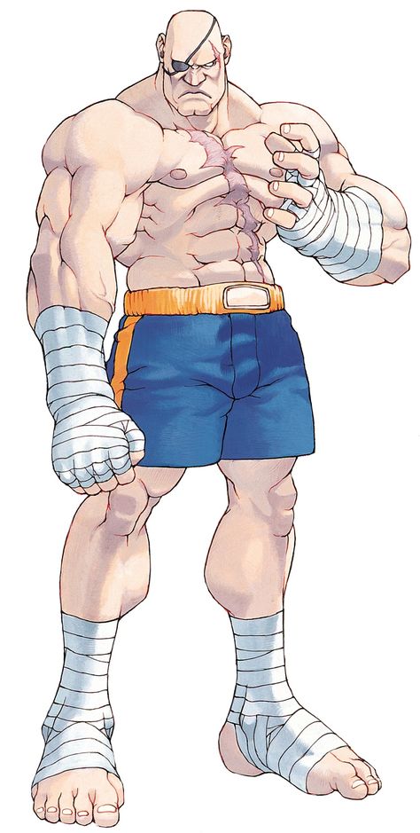 Sagat Street Fighter, Street Fighter Alpha 2, Street Fighter Zero, Street Fighter Alpha, Nba Jam, Street Fighter 2, Street Fighter Art, Manga Covers, Game Artwork