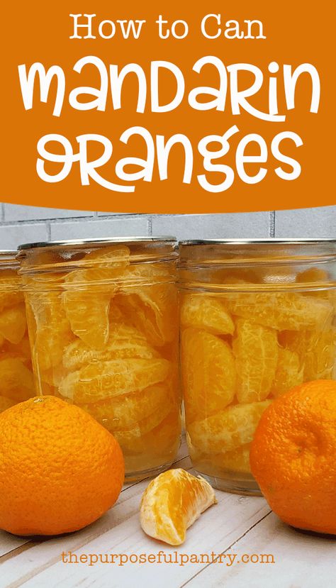 How To Preserve Mandarin Oranges, Canning Mandarins, Manderine Orange Recipe, Canning Clementines, Mandarins Recipes, Unique Canning Recipes, Canning Mandarin Oranges, Canning Citrus, Canning Flour