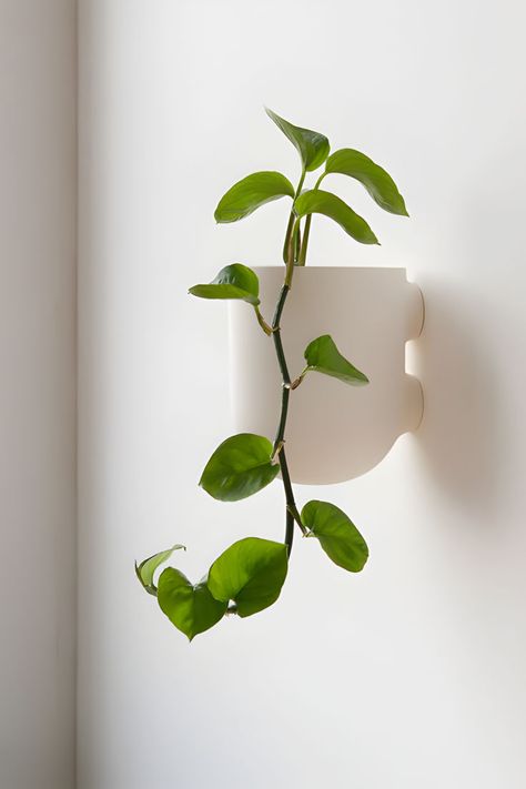 🌿Handcrafted stoneware planter with drainage system for indoor/outdoor use. The planter is handcrafted in the Misewell ceramic studio, and is suitable for both indoor and outdoor use. Explore our Pinterest Board for more ideas and in-depth details on Marmalade. #PlantVibesDecor #IndoorPlants #StylishPlanters #NatureIndoors #Plants #Planters #DecorWithPlants #PlantInspiration #HomePlantDecor #ChicPlanters #PlantsAndDecor Tabletop Planter, Ceramic Wall Planters, Pottery Wall, Wall Planters, Planter Indoor, Drainage System, Moss Art, Chic Interior, Ceramic Studio