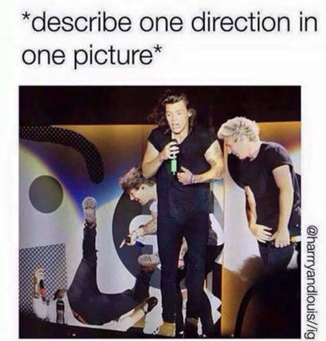 Funny Baby Boy, One Direction Jokes, Gambar One Direction, One Direction Facts, 1d Funny, Direction Quotes, One Direction Quotes, Harry Styles 1d, One Direction Photos