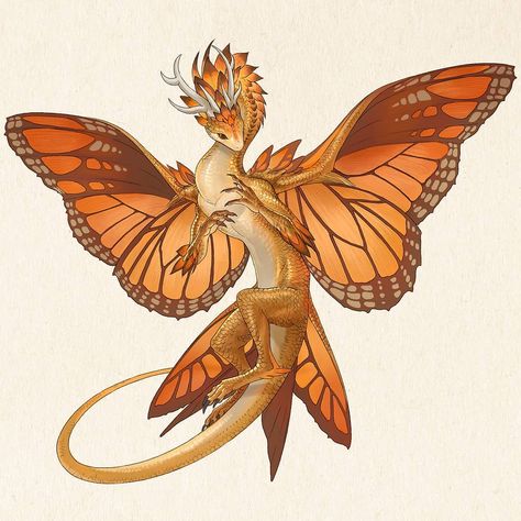 Dragon Art Concept, Butterfly Dragon Art, Faerie Dragon Dnd, Fantasy Dragon Concept Art, Pet Dragon Art, Sandara Tang, Dragon Design Concept, Dragon Monarch, Moth Dragon