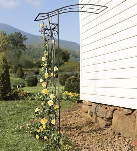 Metal Garden Arbors - Foter Metal Arbor, Arbor Ideas, Arch Trellis, Rose Trellis, Cheap Pergola, Small Courtyard Gardens, Metal Pergola, Pergola Garden, Garden Arbor