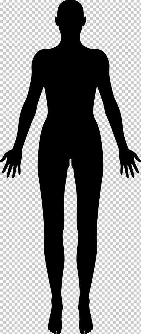 The Human Body Aesthetic, Body Sillhoute, Body Silhouette Art, Human Body Outline, Human Body Silhouette, Human Png, Body Silhouette, Body Outline, Human Body Drawing