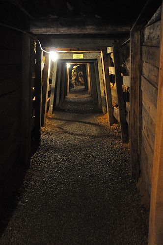 Canary In A Coal Mine Aesthetic, Mining Aesthetic, Haunted Mine, Sheridan Aesthetic, Mia Sheridan, Mine Aesthetic, Casa Halloween, North Carolina Homes, Gold Mine