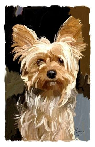 Yorkie Painting, Dog Portraits Painting, Portraits Painting, Dog Portraits Art, Yorkie Terrier, Drawing Dog, Silky Terrier, Dog Sketch, Arte Van Gogh