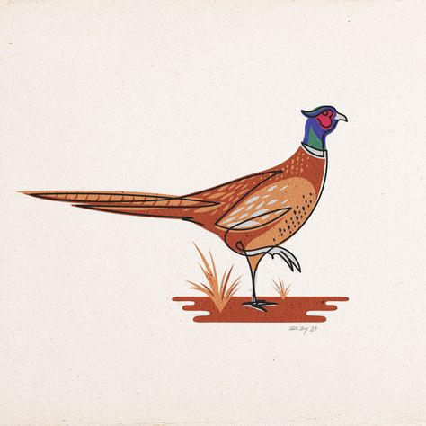 Single-line Pheasant design. Digital illustration in offset printing style. Pheasant Drawing, Pheasant Illustration, Feather Drawing, Pheasant Feather, Pheasant Feathers, Offset Printing, Creative Stuff, Wildlife Conservation, Live Free