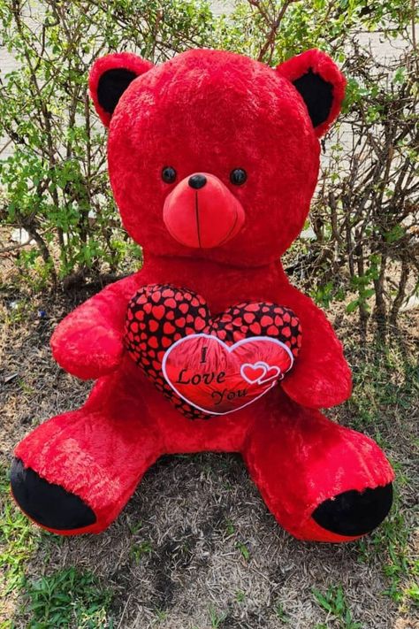 Teddy Bear Pictures, Gifts For My Sister, Valentine Gifts, Teddy Bear, Red, Gifts, Color