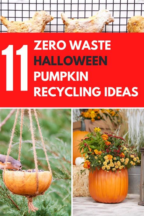 Something you may not have not given much thought to before is Halloween Pumpkin Recycling. Our list includes zero waste ideas from pumpkin soup and pumpkin bread recipes to garden projects like bird feeders, planters and homemade dog treats. This year we are encouraging people to try the zero waste lifestyle and reuse their leftover pumpkins with these must-try diy ideas on how to get creative with your old and tired jack-o-lanterns. #zerowaste #pumpkins #recycling #recyclingideas #halloween Halloween Invitation Card, Pumpkin Planter, Fun Halloween Games, Leftover Pumpkin, Free Activities For Kids, Spooky Halloween Party, Adult Halloween Party, Autumn Activities For Kids, Small Pumpkins