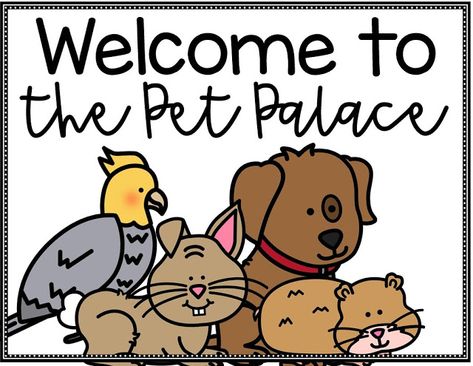 We Adopted Pets!!!! Classroom Pet Adoption, Pet Rock Adoption Certificate, Animal Adoption Poster, Pet Adoption Quotes Animal Rescue, Teachers Pet, Pet Adoption, Adoption, Fairy Tales