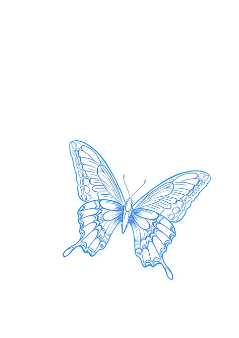 Blue Outline Butterfly Tattoo, Light Blue Butterfly Tattoo, Blue Outline Tattoo, Blue Linework Tattoo, Half A Butterfly Wing Tattoo, Black And Blue Butterfly Tattoo, Tiny Line Tattoos, Blue Morpho Butterfly Tattoo, Blue Butterfly Drawing