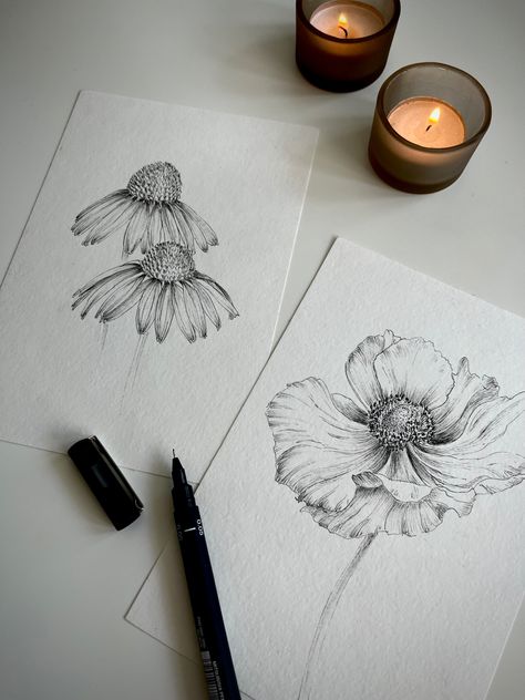 Flower Ink Drawing, Drawing Botanicals, Black Ink Illustration, Aesthetic Postcard, Brand Exploration, Drawing With Pen, Micron Pen Art, Black Ink Art, Monochrome Aesthetic