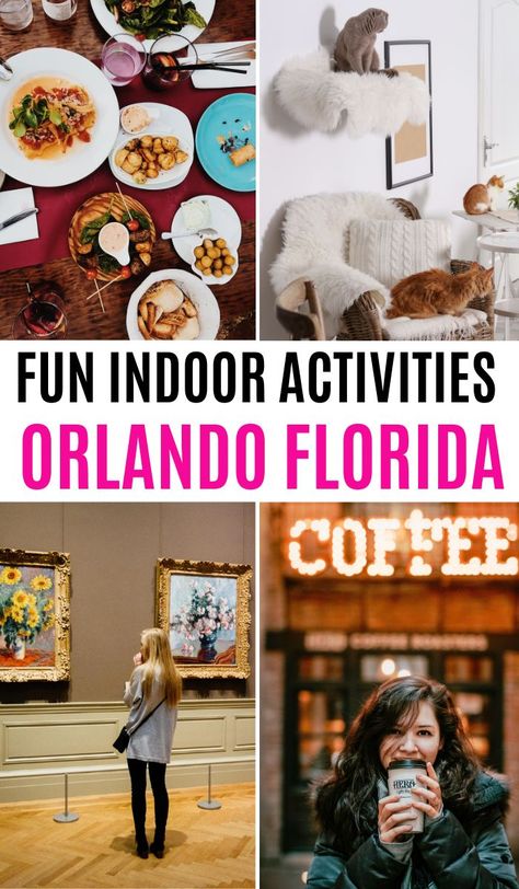 Indoor Things to do in Orlando on a rainy day Orlando With Kids, Things To Do Orlando, Indoor Things To Do, Orlando Activities, Florida Activities, Orlando Florida Vacation, Things To Do In Orlando, Visit Orlando, Florida Adventures