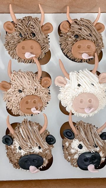 🌿D'lish Cakes🌿 on Instagram: "Highland cow cupcakes 🧁 ❤️👌" Highland Cow Cupcake Cake, Hiland Cow Cupcakes, Hyland Cow Cupcakes, Hyland Cow Smash Cake, Highland Cow Pull Apart Cupcake, Highland Cow Cupcakes Diy, Highland Cow Cake With Buttercream, Highland Cow Cupcakes, Hyland Cow Cake