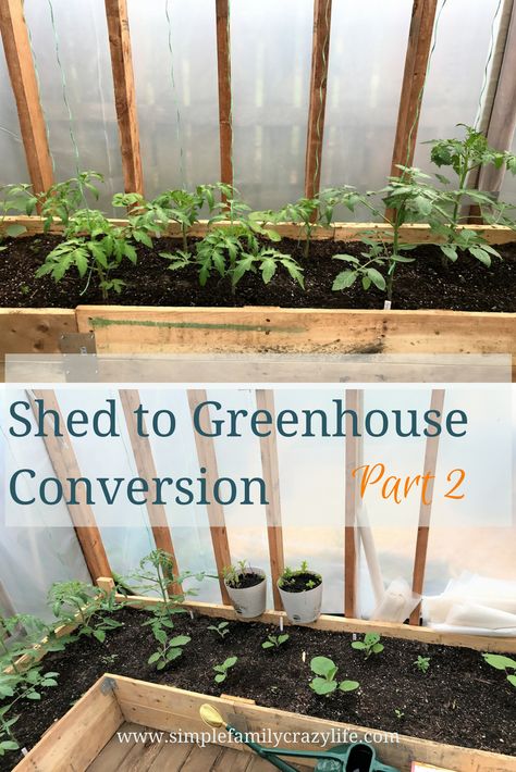 Garage To Greenhouse Conversion, Turn Shed Into Greenhouse, Greenhouse Planter Boxes, Convert Shed To Greenhouse, Shed To Greenhouse Conversion, Shed To Greenhouse, Inside Of Greenhouse, Greenhouse Conversion, Greenhouse Shed Combo