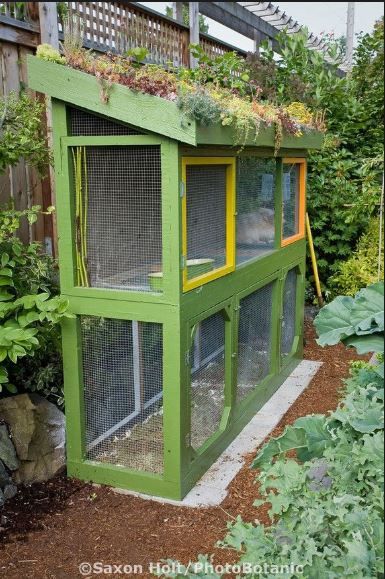 fence line fun for small animals Chicken Coop Garden, Living Roofs, Rabbit Hutch, City Farm, Sustainable City, Urban Homesteading, Rabbit Hutches, Chicken House, Rooftop Garden