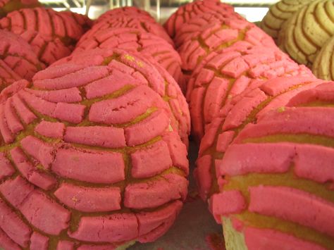 Pink Conchas...at the Mexican Bakery. My favorites! Pink Conchas, Backyard Brunch, Mexican Bakery, Quinceañera Ideas, Sweet Treats Recipes, Under One Roof, Family Project, Graduation Ideas, Food Stuff