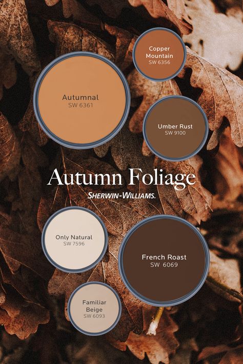 Fall Interior Paint Colors, Fall Paint Color Palette, Sherwin Williams Fall Colors, Cooper Paint Color, Western House Paint Colors, Sherwin Williams Copper Mountain, Sherwin Williams Fall Color Palette, Fall Palette Colour Schemes, Rust Paint Color Accent Walls