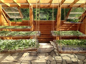 Small-Scale Medicinal Herb Farming Success Dream Greenhouse, Passive Solar Greenhouse, Underground Greenhouse, Herb Drying, Solar Greenhouse, Outdoor Greenhouse, Herb Farm, Earth Sheltered, Medicinal Garden