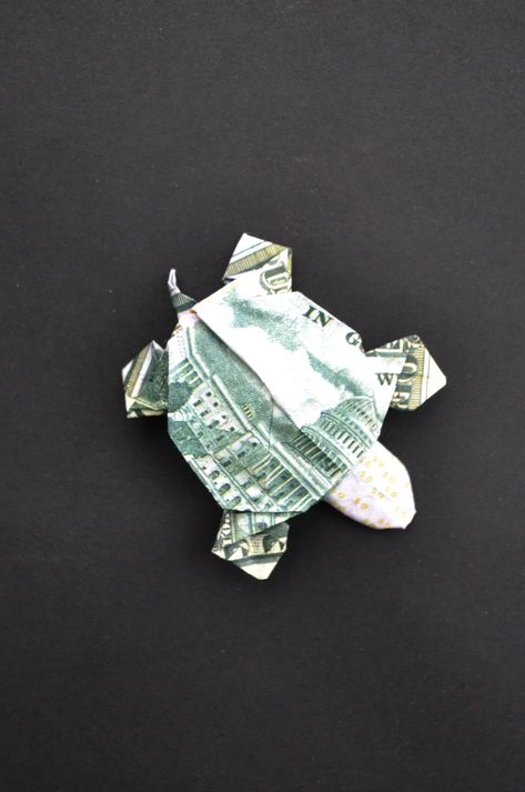 Money TURTLE Origami | Step by step | Dollar Animal Tutorial DIY Today I want to show the tutorial "Money Turtle Origami". Step by step. We need one dollar bill. Only folding, no glue and tape. I wish you a pleasant viewing! Dollar Origami Step By Step, Origami Turtle Step By Step, Dollar Oragami Ideas Step By Step, Money Origami Tutorial Step By Step, Folding Money For Gifts Step By Step, Dollar Oragami, Origami Lizard, Turtle Origami, Oragami Money