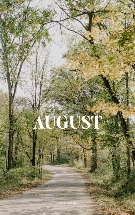 August summer wallpaper and backgrounds July Aesthetic Wallpaper, Countryside Background, Funny Calendars, August Wallpaper, August Summer, Free Wallpaper Backgrounds, Pretty Wallpaper Ipad, Calendar Pictures, Wallpaper 2024