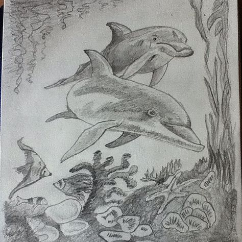 Easy sketch of dolphins Dolphin Drawing Pencil, Dolphin Sketch, Dolphin Drawing, Basic Sketching, Sea Drawing, Dolphin Art, Sketches Of Love, Nature Art Drawings, Draw Ideas