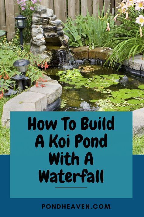 Pond DIY Koi Pond With Waterfall, Diy Koi Pond, Pond Filter Diy, Pond With Waterfall, Koi Pond Backyard, Fish Ponds Backyard, Diy Ponds Backyard, Koi Pond Design, Goldfish Pond