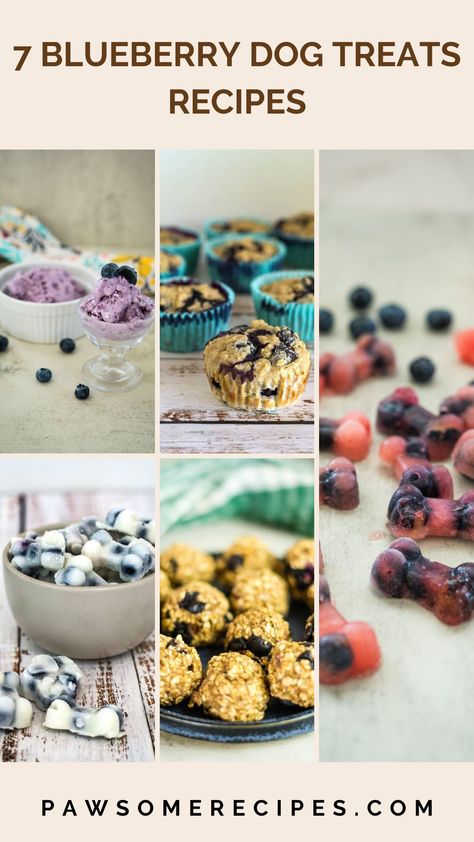 Get ready to treat your pup to some tail-wagging goodness with these blueberry dog treats recipes! Packed with antioxidants, fiber, and a burst of natural sweetness, blueberries are a superfood your dog will love. Spent Grain Dog Treats, Blueberry Dog Treat Recipe, Blueberry Dog Treats, Dog Treats Recipes, Dog Ice Cream Recipe, Can Dogs Eat Blueberries, Protein Blueberry, Blueberry Snacks, Treat Business