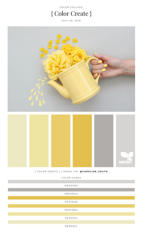 Classic Yellow & Gray pallet Yellow Color Combinations, Gray Color Palette, Yellow Palette, Seeds Color, Grey Palette, Yellow Colour Scheme, Color Palette Yellow, Yellow Room, Color Schemes Colour Palettes