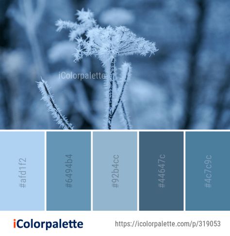 Color Palette Ideas from Frost Winter Freezing Image Frost Color Palette, Color Inspiration Boards, Color Palette Ideas, Hex Color Palette, Winter Color Palette, Palette Ideas, Mood Colors, Winter Images, Design Seeds