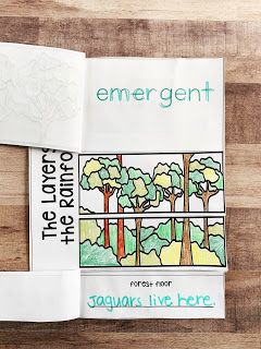 Rainforest ELA Unit for Kindergarten and 1st Grade | Busy Hands and Minds Emergent Readers Free, Rainforest Crafts, Rainforest Activities, 1st Grade Books, Fun Writing Activities, Preschool Boards, Rainforest Theme, Math Activities Elementary, Sight Word Cards