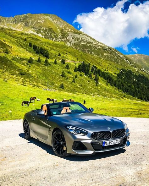 Bmw Z4 M40i, Bmw Roadster, Z4 Bmw, Bmw Z4 Roadster, Future Vehicles, Dream Cars Bmw, Cars Bmw, Bmw Z4, The Alps