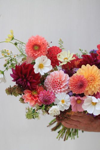 Bright Dahlia Bouquet, Dahlias Bouquet Aesthetic, Dahlia Wedding Decoration, All Dahlia Bouquet, Dahlias Bridal Bouquet, Dahlia Flower Arrangements Wedding, Wedding Flowers Dahlias, Late Summer Wedding Bouquets, Bright Floral Bouquets