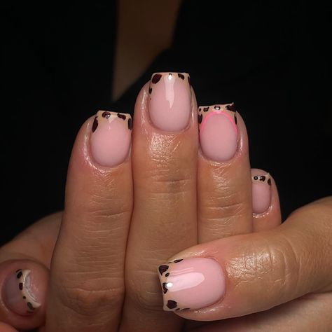 Obsessed with animal print rn😍 • • Book this set: ‘Builder Gel+ Tier 2 Nail Art’ Link in bio to book📲 If viewing follow @phia.beautylounge Looking for a nail tech that cares about your nail health? Is flexible with appointments? DM to find out more or click the link in my bio to book in💕 #coventrynailtech #rugbynails #westmidlandsnailtech #birminghamnails #naturalnail #gelnails #frenchtip #taperedsquare #fullsetacrylics #freestyleacrylics #smileline Builder Gel Nail Designs Short, Builder Gel Nails, Smile Lines, Builder Gel, Nail Health, Gel Nail Designs, Nails Nails, Nail Tech, Gel Nail