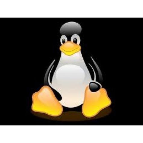 Mario DAndrea uses #Linux http://ift.tt/1SMdHeb by brandkloud Linux Penguin, Cute Hairstyles With Curls, Penguin Wallpaper, Fun Svg, Linux Kernel, Penguin Art, Pirate Adventure, Latest Hair Trends, Frutiger Aero