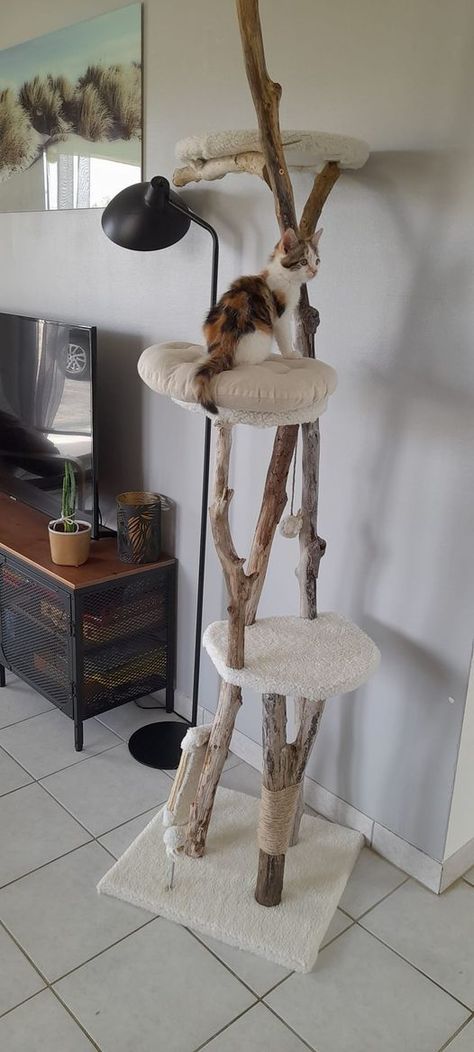 Custom Cat Trees, Cat Habitat, Cat Room Decor, Katt Grejer, Diy Pet Toys, Diy Cat Tree, Outdoor Cat Enclosure, Cat House Diy, Cat Towers