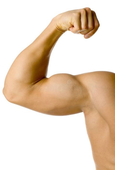 Flexing Muscles Pose Reference, Elbow Anatomy, Arm Anatomy, Anatomy Practice, How To Get Bigger, Coke Zero, Arm Muscles, Anatomy Study, Male Hands