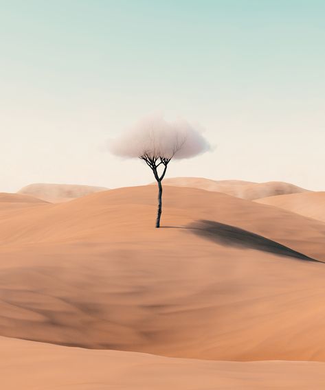 Tree In Desert, Minimal Nature, Desert Abstract, Tree Poster, Desert Wallpaper, Desert Illustration, 480x800 Wallpaper, Tips For Traveling Alone, Desert Background